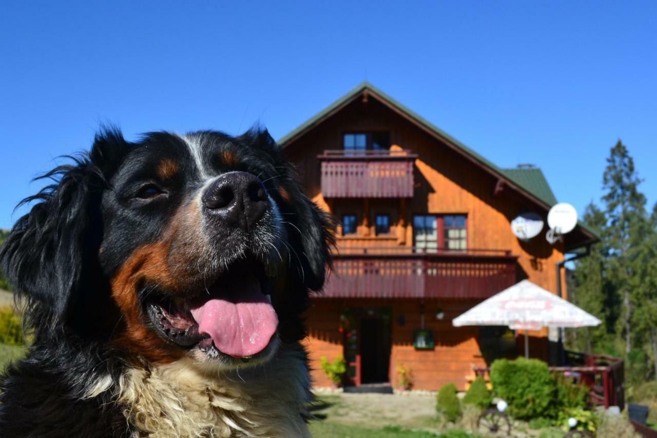Penzion Dinda Stará ľubovňa Extérieur photo